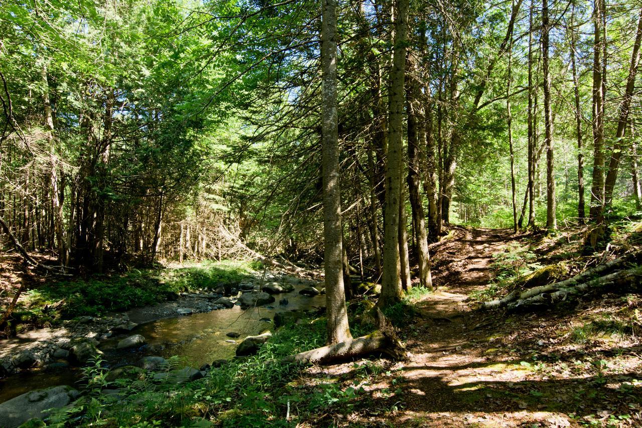 Camping Chalets Spas Pignons Rouges Saint Romain Exteriör bild
