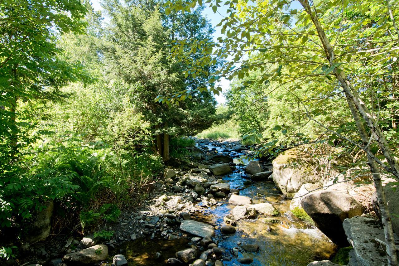 Camping Chalets Spas Pignons Rouges Saint Romain Exteriör bild