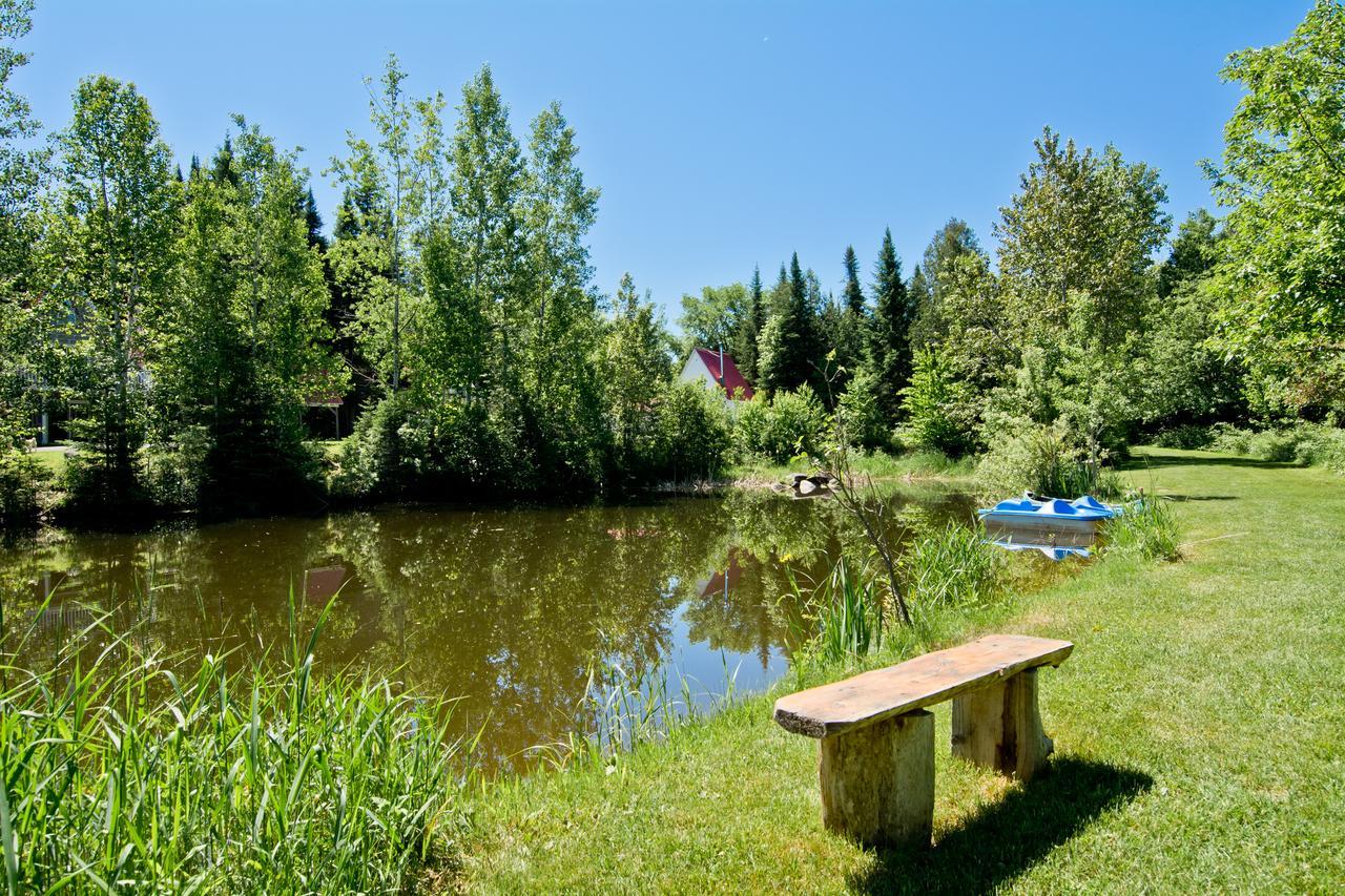 Camping Chalets Spas Pignons Rouges Saint Romain Exteriör bild