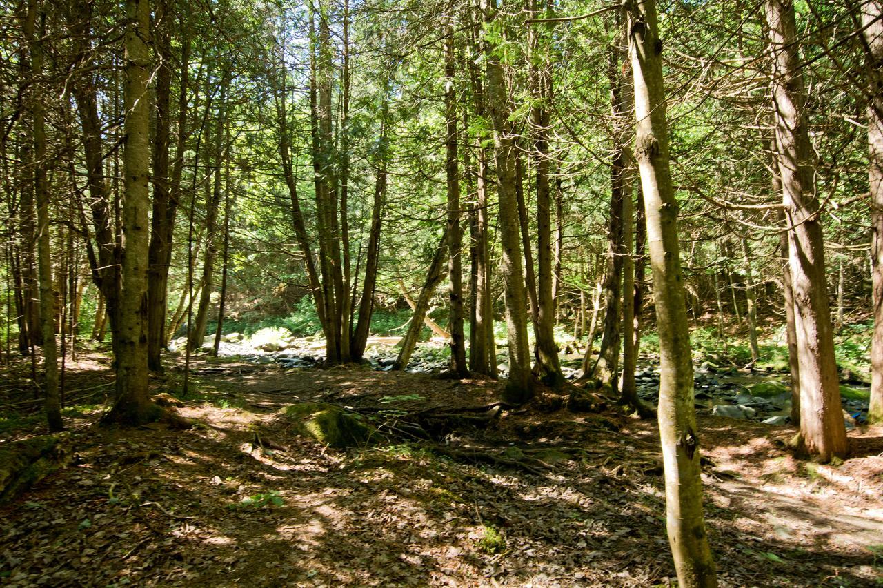 Camping Chalets Spas Pignons Rouges Saint Romain Exteriör bild