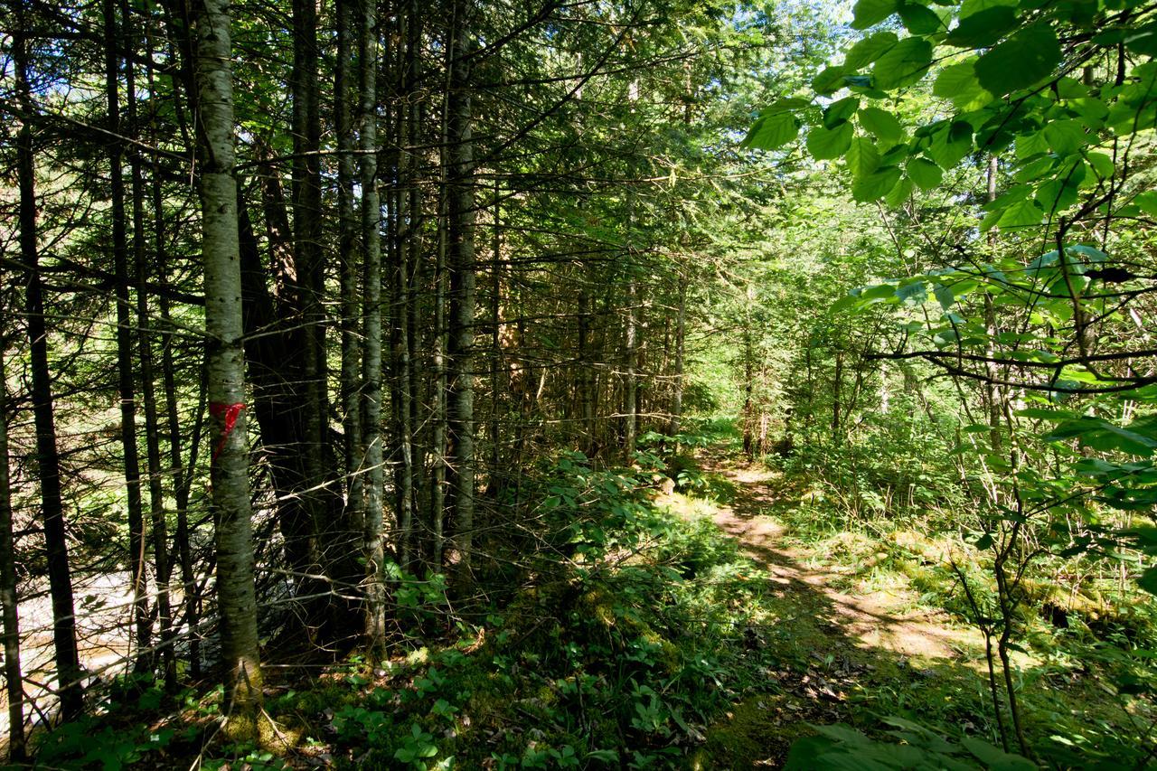Camping Chalets Spas Pignons Rouges Saint Romain Exteriör bild