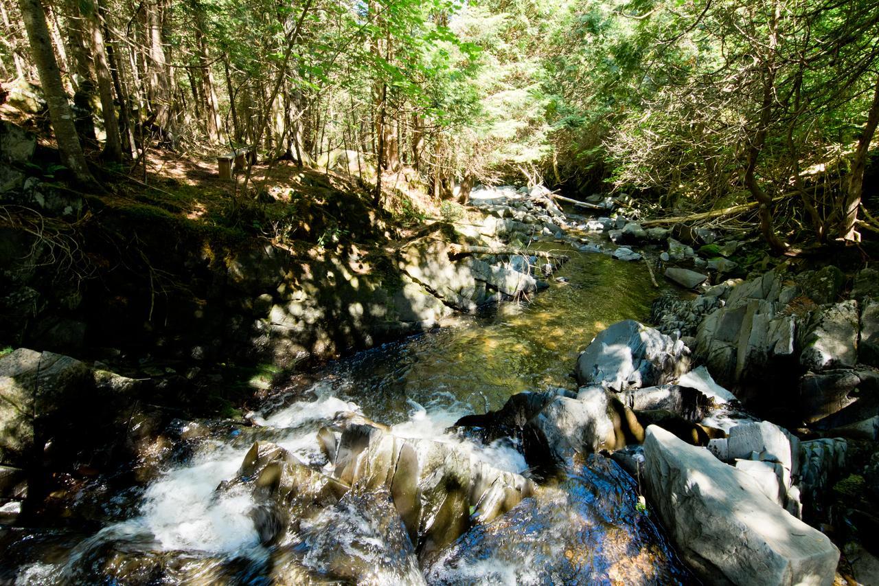 Camping Chalets Spas Pignons Rouges Saint Romain Exteriör bild
